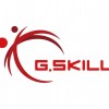 جی اسکیل | g.skill